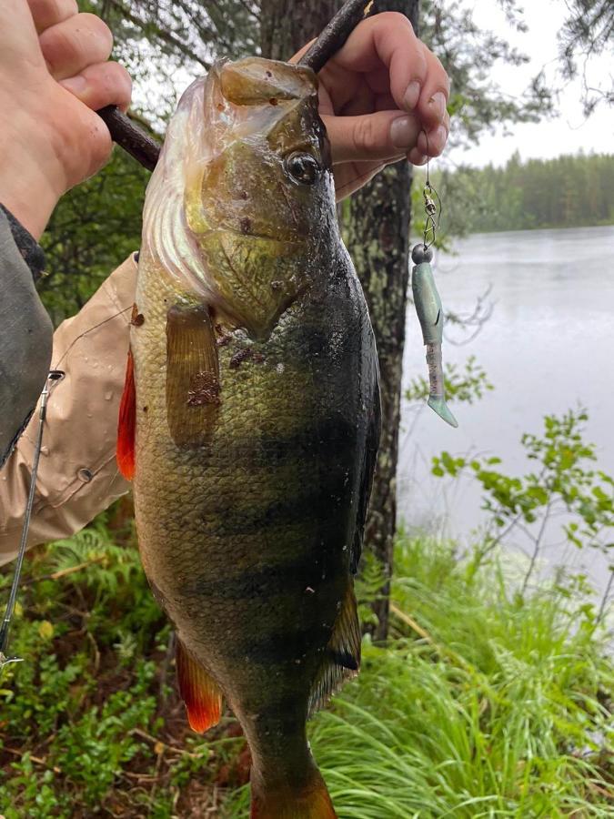 Vila Saimaa Raikala Vuoriniemi Exteriér fotografie